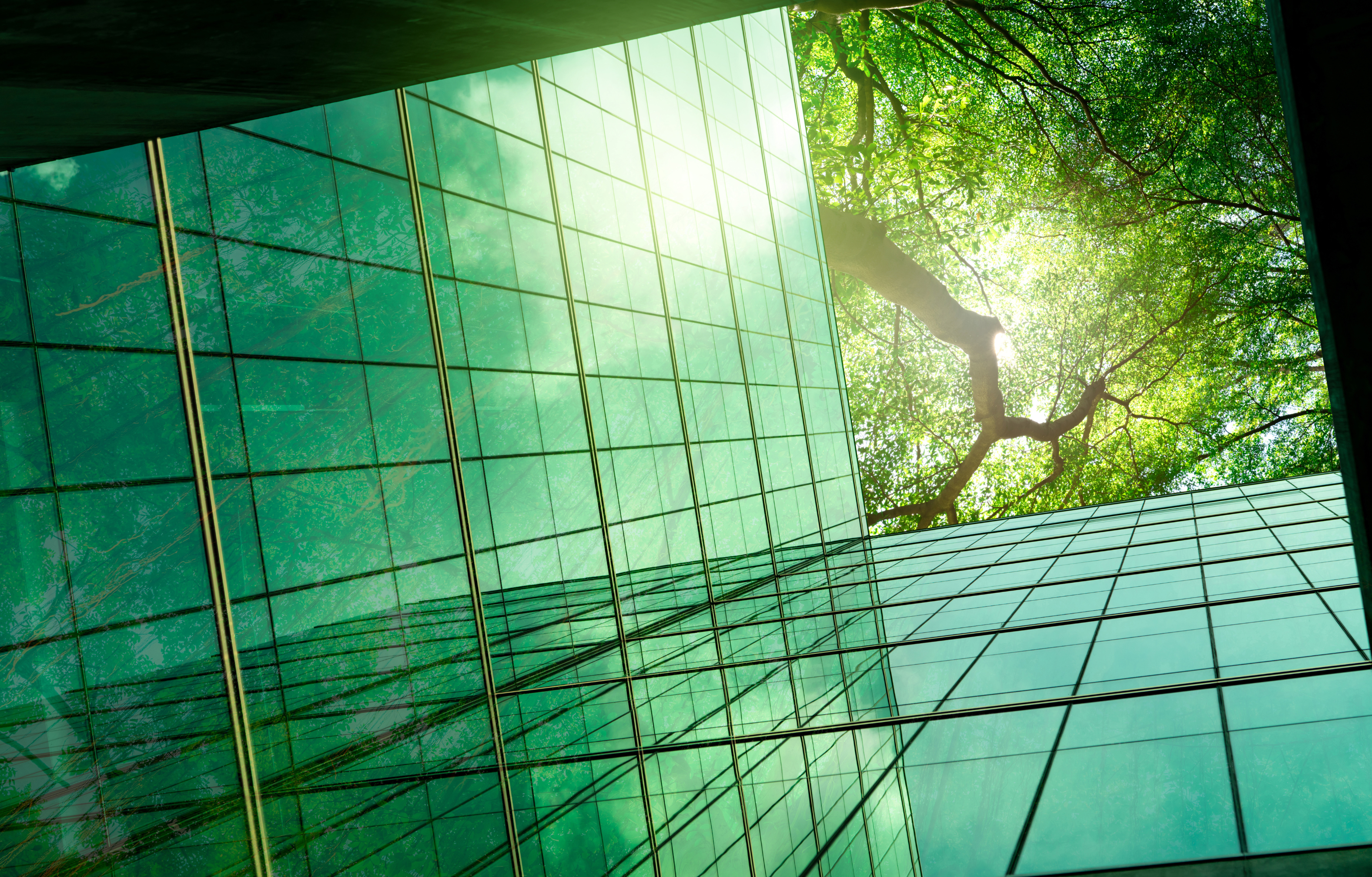 How CBAM Compliance Supports Your ESG Goals: Benefits Beyond Regulations