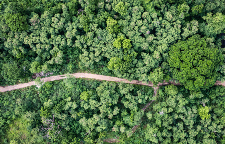 CBAM vs. Carbon Footprint: Differences and the Impact on Trade?