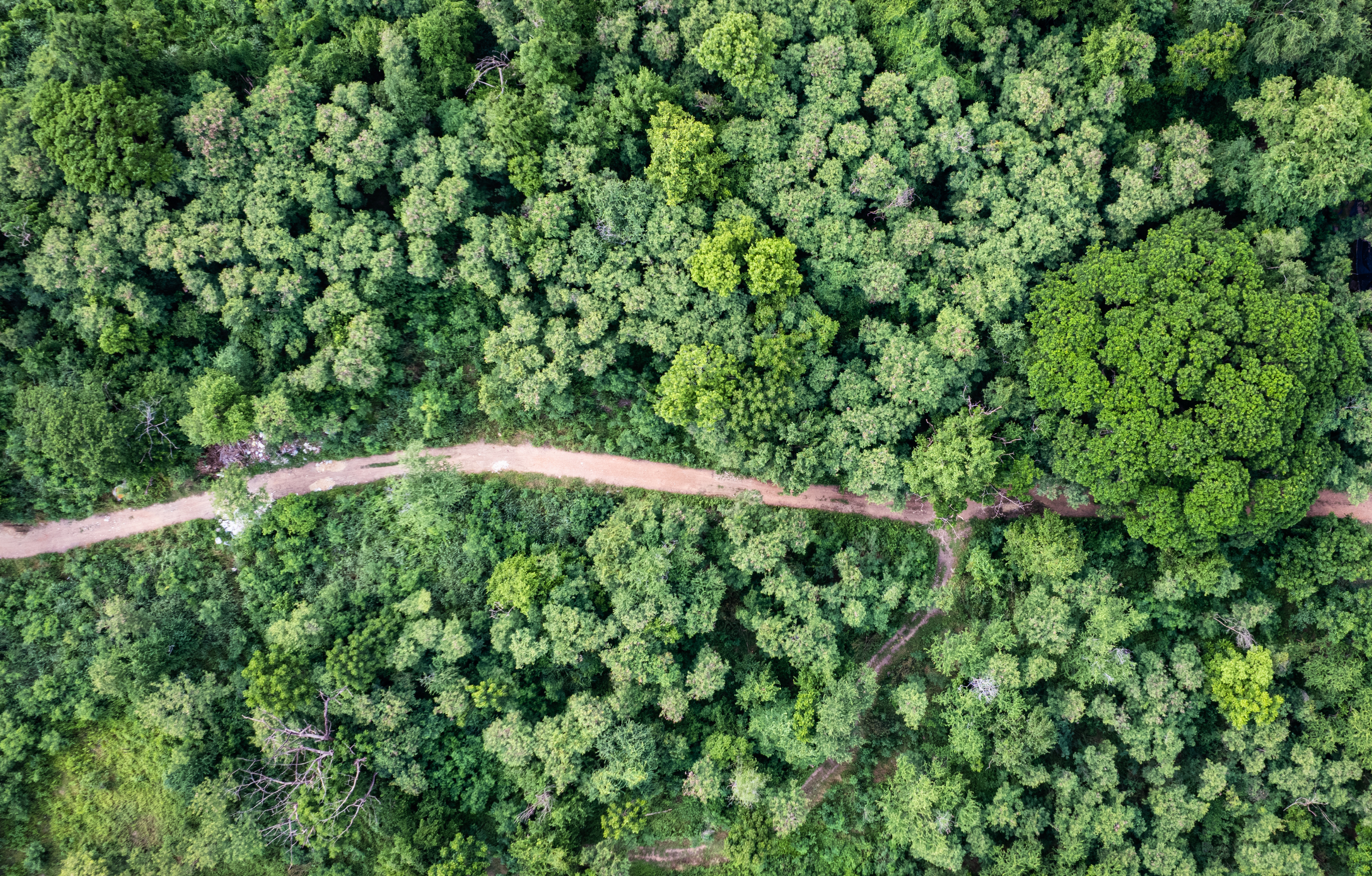 CBAM vs. Carbon Footprint: Differences and the Impact on Trade?